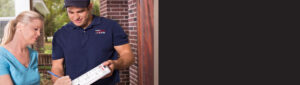 Wasp Control Service Langley | Pest Control Services